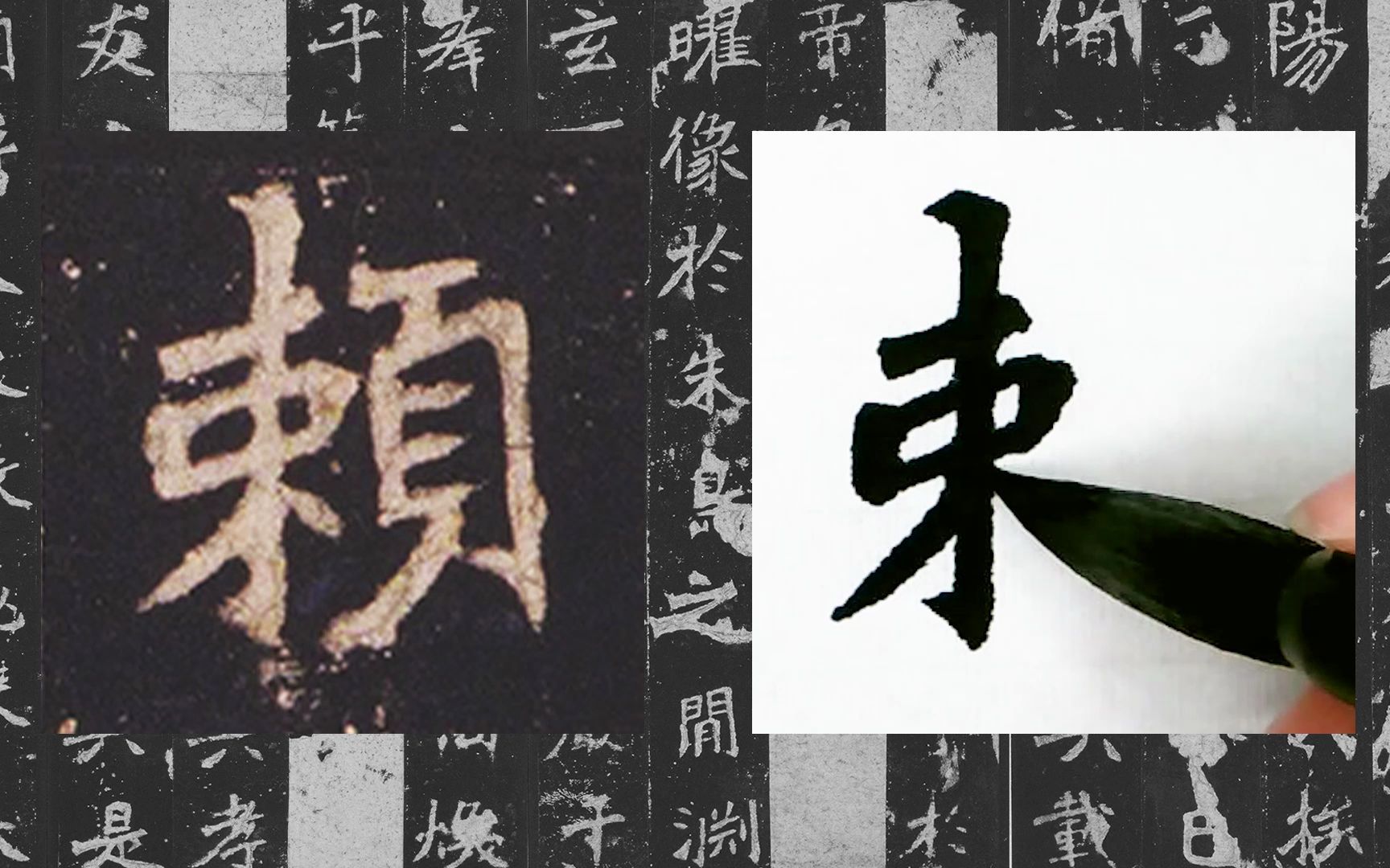 [图]【每日一字】书法系列，周东芬临北魏碑刻《张猛龙碑》“頼”字