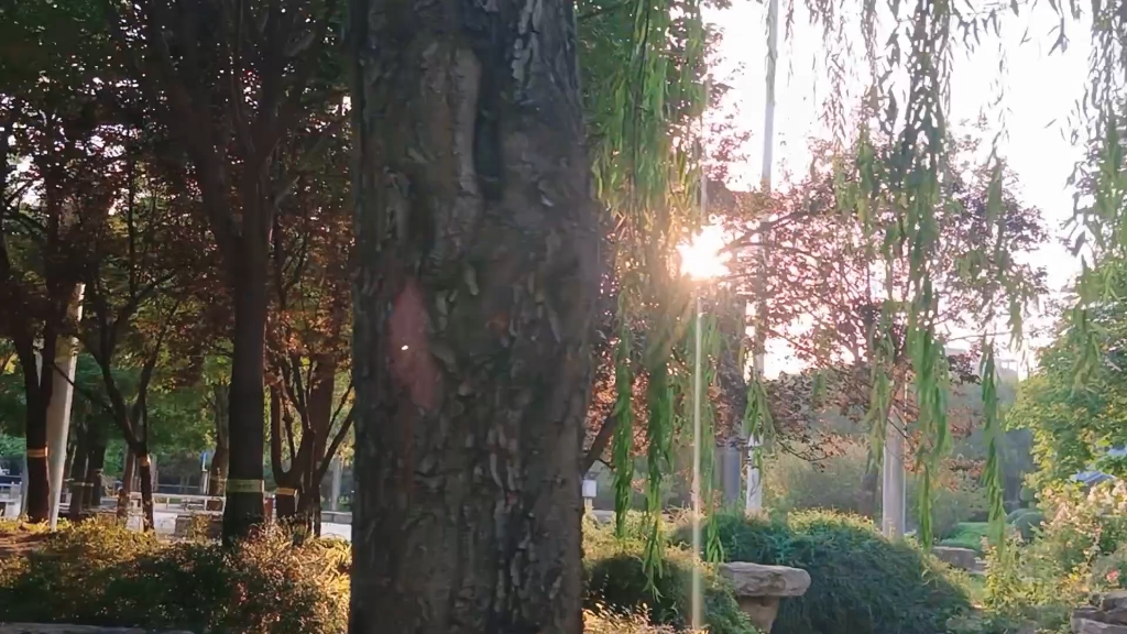 破晓之时