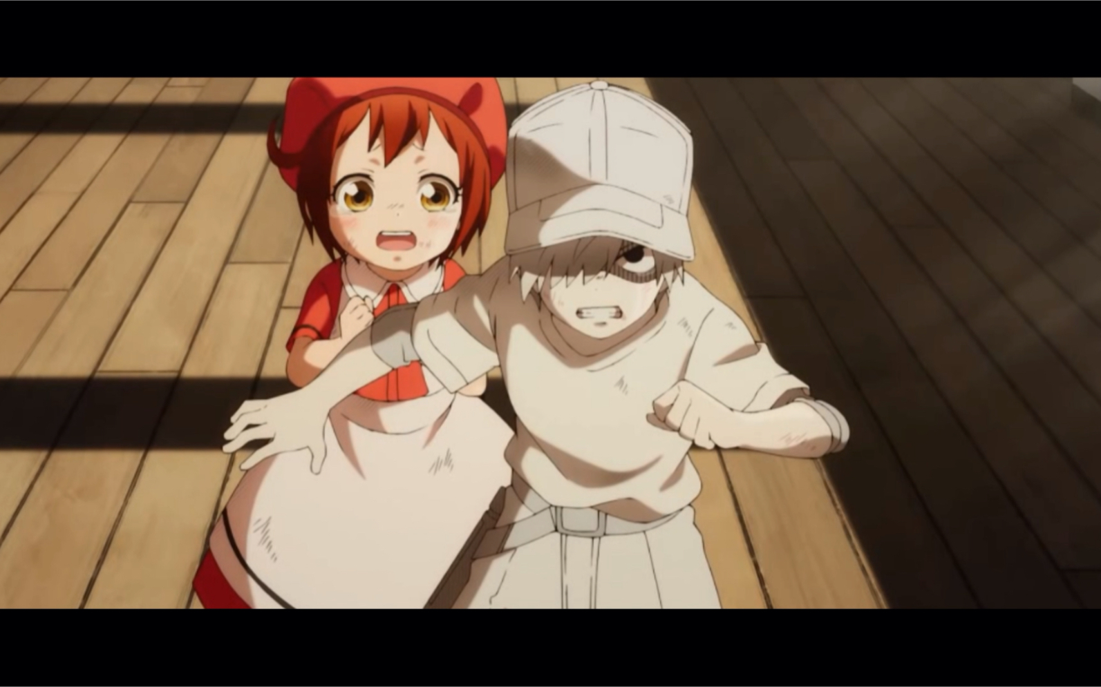 【工作细胞/白赤】白细胞与红细胞de爱情故事