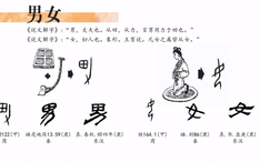 小鸡说字理 与植物有关的汉字 桑 茶 哔哩哔哩 Bilibili