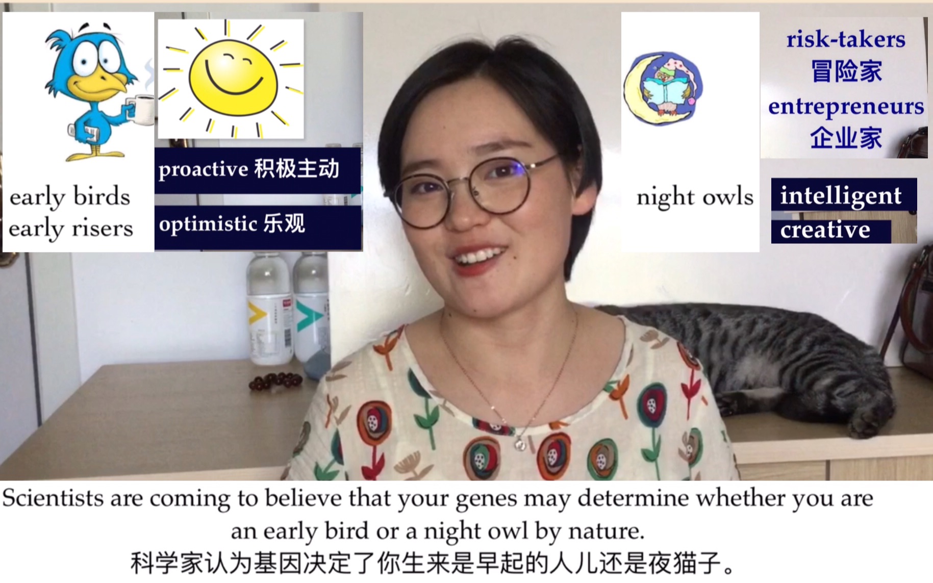 【全英文】Scientific findings about early birds and night owls早起和晚起的人都有哪些特征呢?#英文演讲哔哩哔哩bilibili