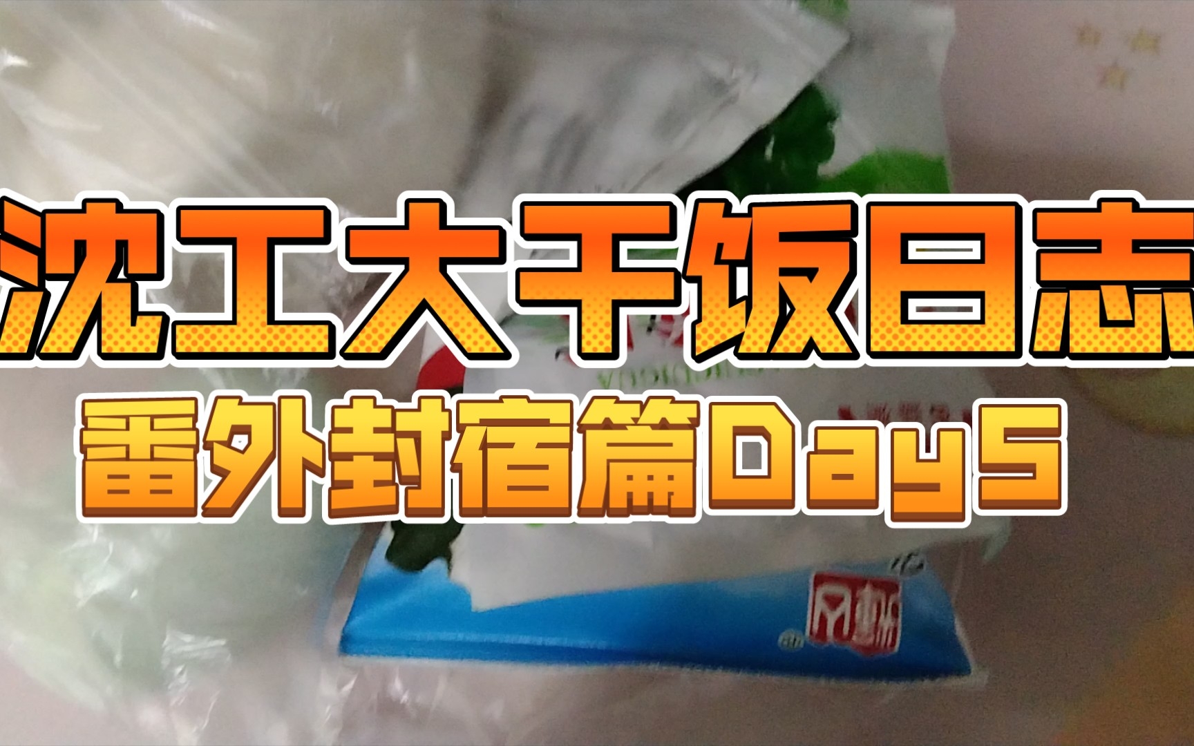 沈工大干饭日志——番外封宿篇Day5哔哩哔哩bilibili