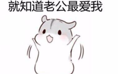 李九居:偷李幼恩干嘛?偷我得了哔哩哔哩bilibili