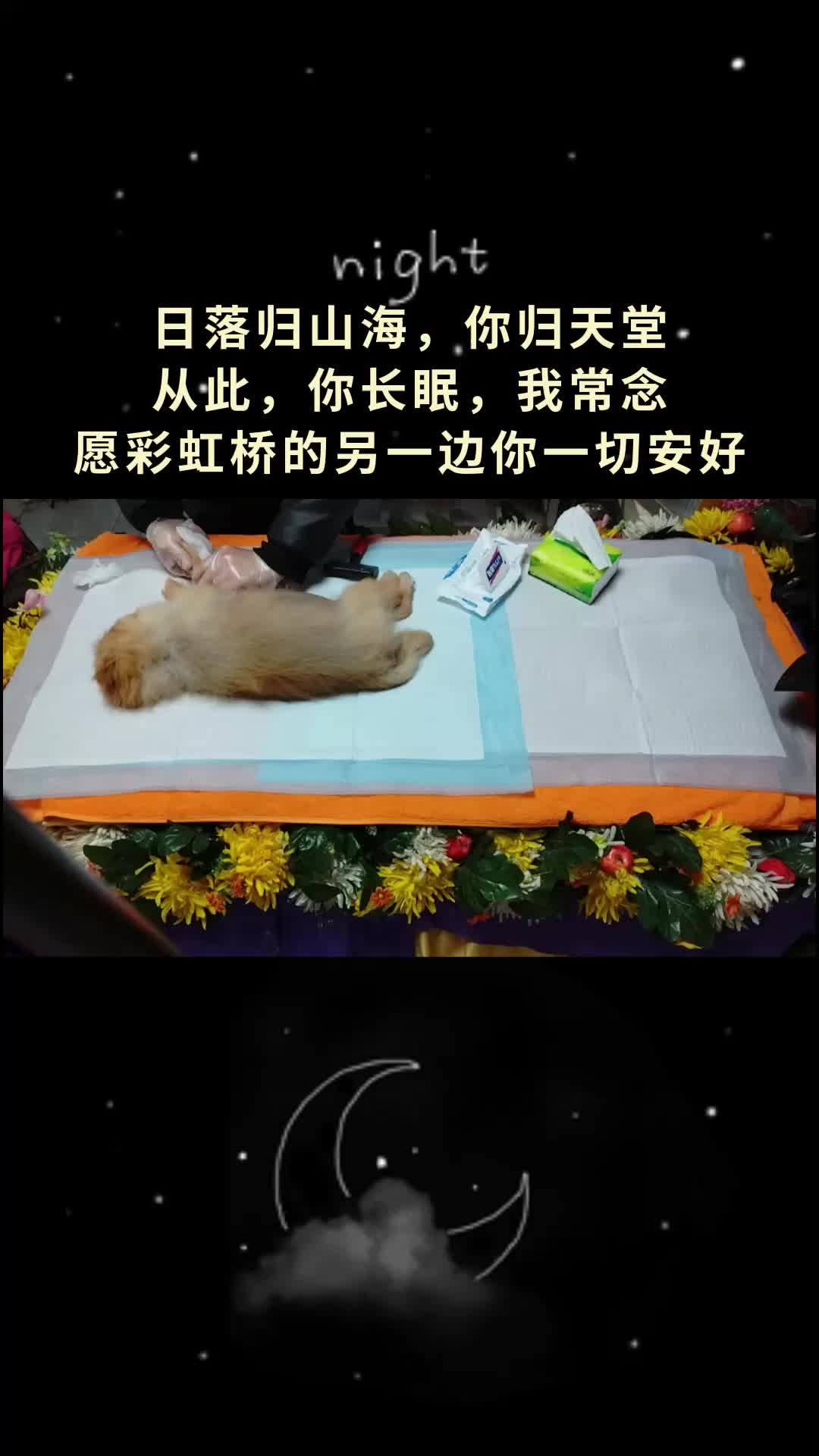 日落归山海,你归天堂,从此,你长眠,我常念,愿彩虹