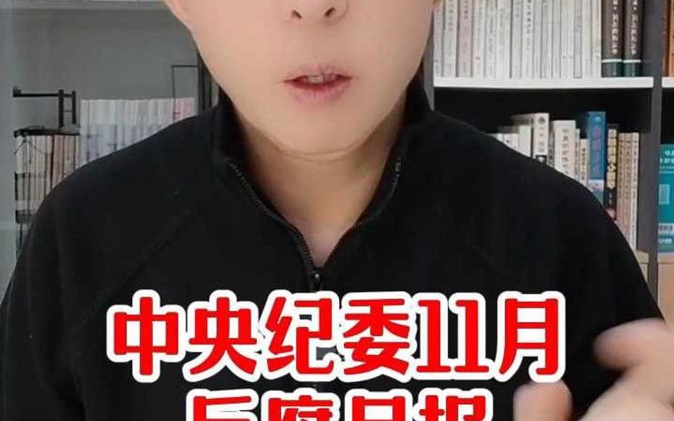 中央纪委11月反腐月报哔哩哔哩bilibili