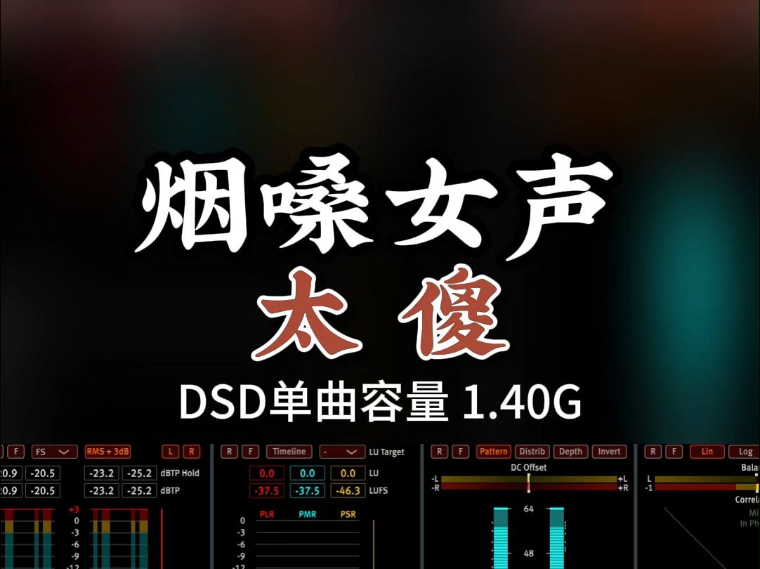 经典伤感情歌,烟嗓女声《太傻》DSD完整版1.40G,百万调音师专业录音棚制作,顶级hifi无损音质哔哩哔哩bilibili