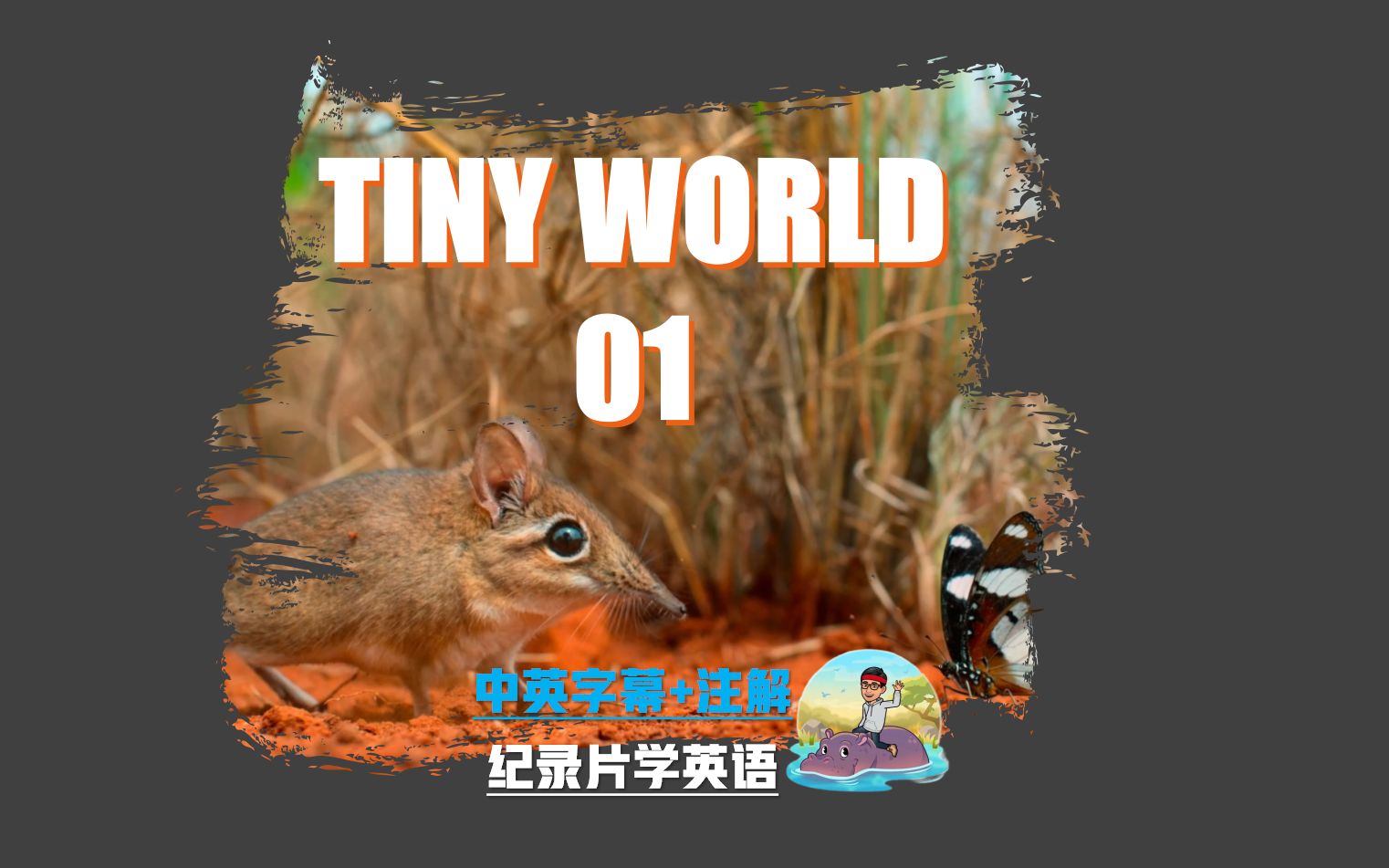【纪录片无痛学习】tiny world-01【中英字幕 注解】-零基础学英语
