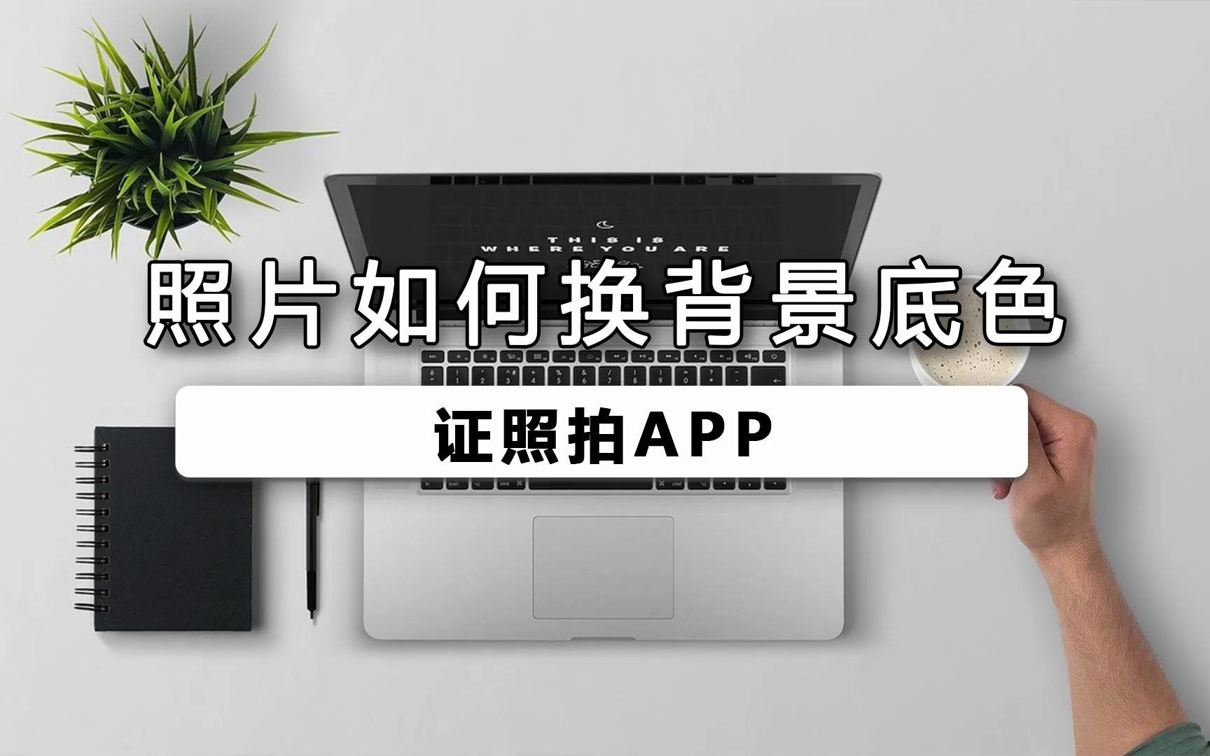 照片如何换背景底色