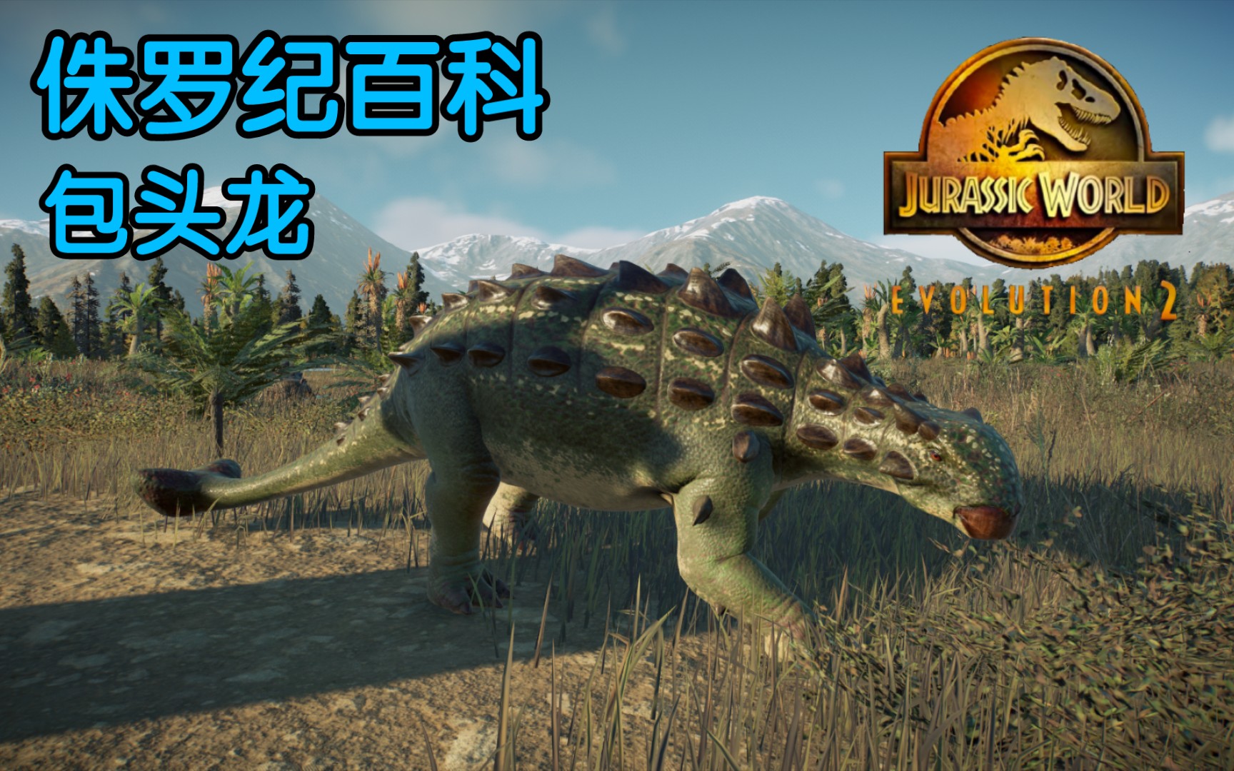 【侏罗纪百科】 19 包头龙 "全副武装的头部" 记录