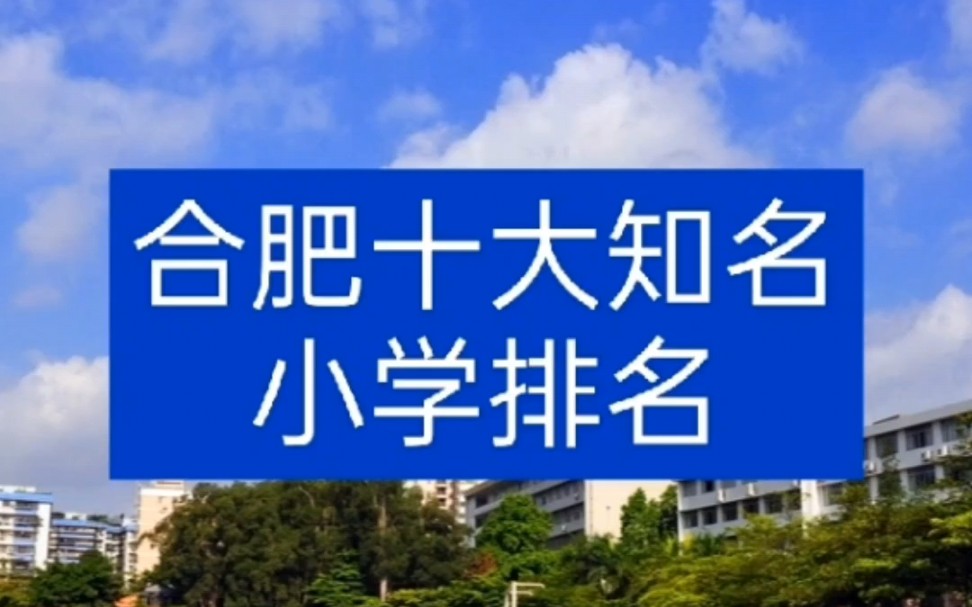 合肥十大知名公办小学排名,分别是:南门小学本部,六安路小学本部,安居苑小学本部,合肥师范附小本部,红星路小学本部,西园小学本部,屯溪路小学...