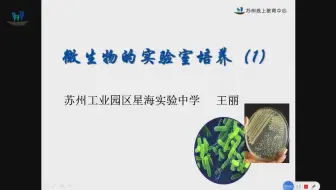 03微生物的实验室培养 1 哔哩哔哩 Bilibili