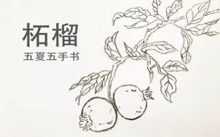 柘榴 搜索结果 哔哩哔哩弹幕视频网 つロ乾杯 Bilibili