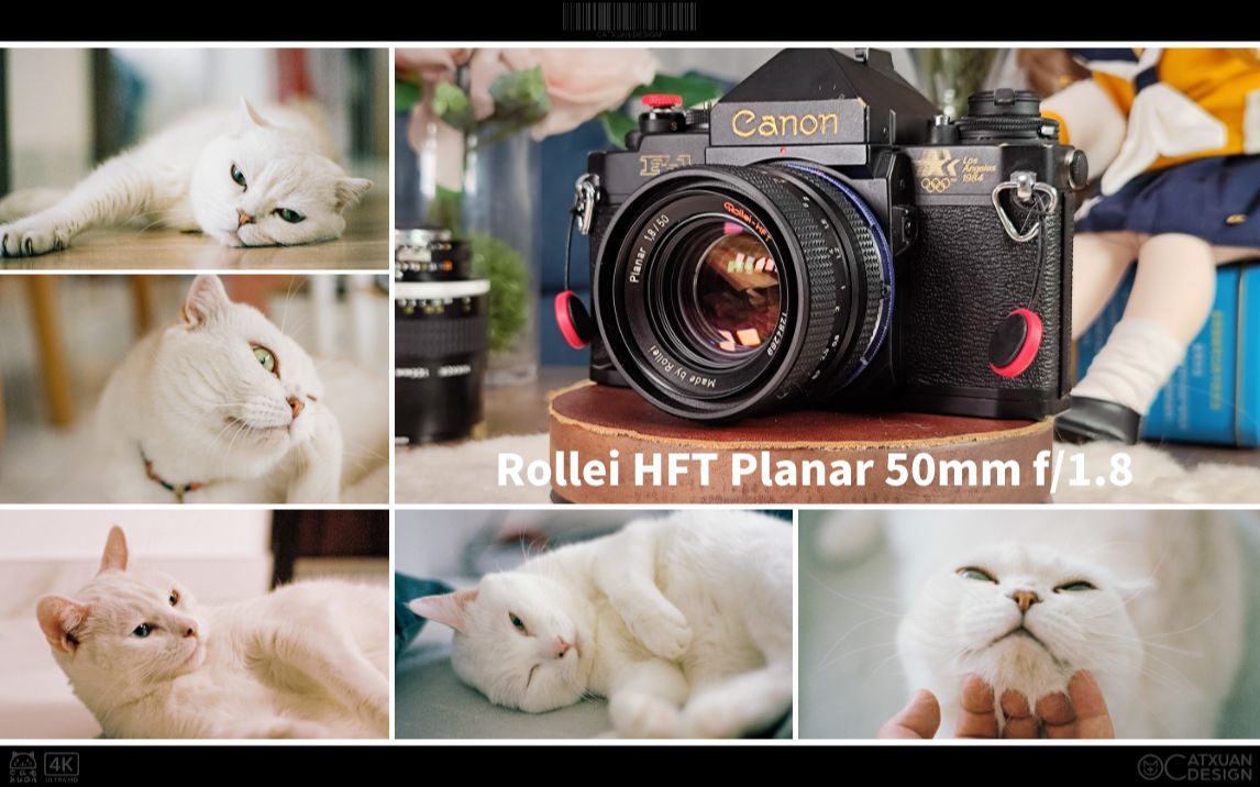 【除了画画啥都会】禄来planar 50 1.8 Rollei hft镀膜 蔡司镜片 满满的德味 迷人的焦外 全开锐利的中心 拍猫猫胶片独具意味的标头哔哩哔哩bilibili