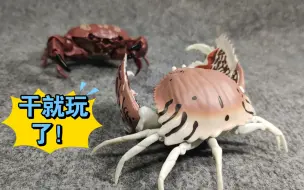 下载视频: 买了两万代螃蟹🦀扭蛋（便宜又好玩）