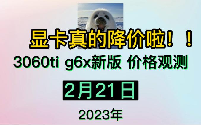 3060ti g6x显卡价格观测2月21日哔哩哔哩bilibili