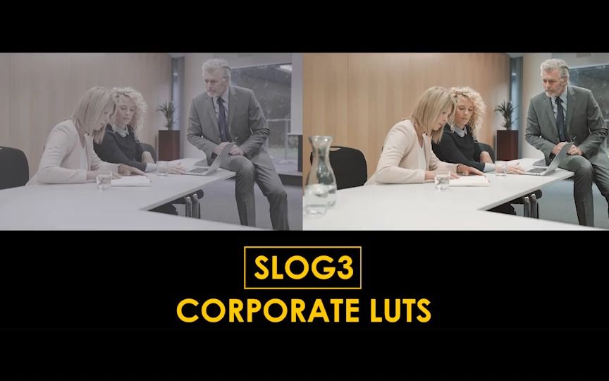 15个企业公司宣传片Slog3调色LUT预设 Slog3 Corporate LUTs哔哩哔哩bilibili