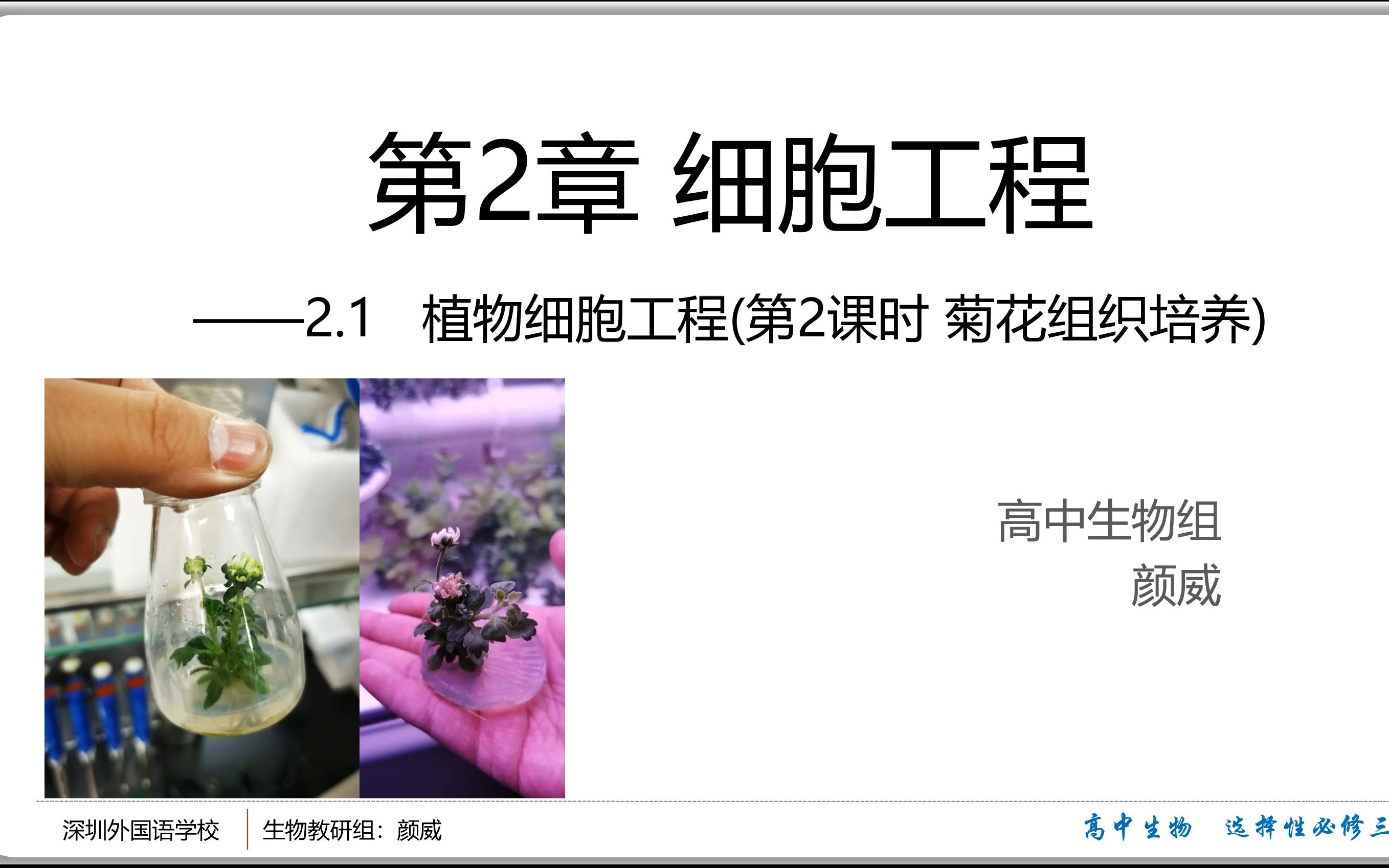 [图]【高中生物选择性必修三】2.1.2 植物细胞工程 第2课时 实验探究 菊花组织培养