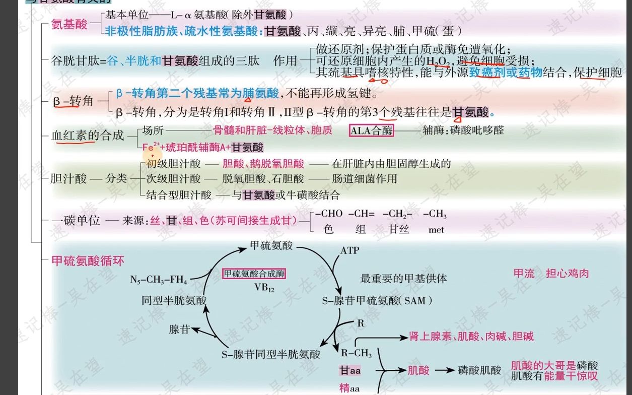 最新吴在望生物化学氨基酸的结构逆袭营日常生活记忆思维导图九大代谢图分子生物学哔哩哔哩bilibili