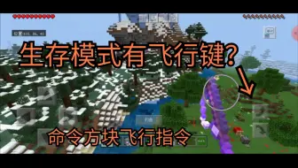 我的世界指令:网易版生存飞行？？？