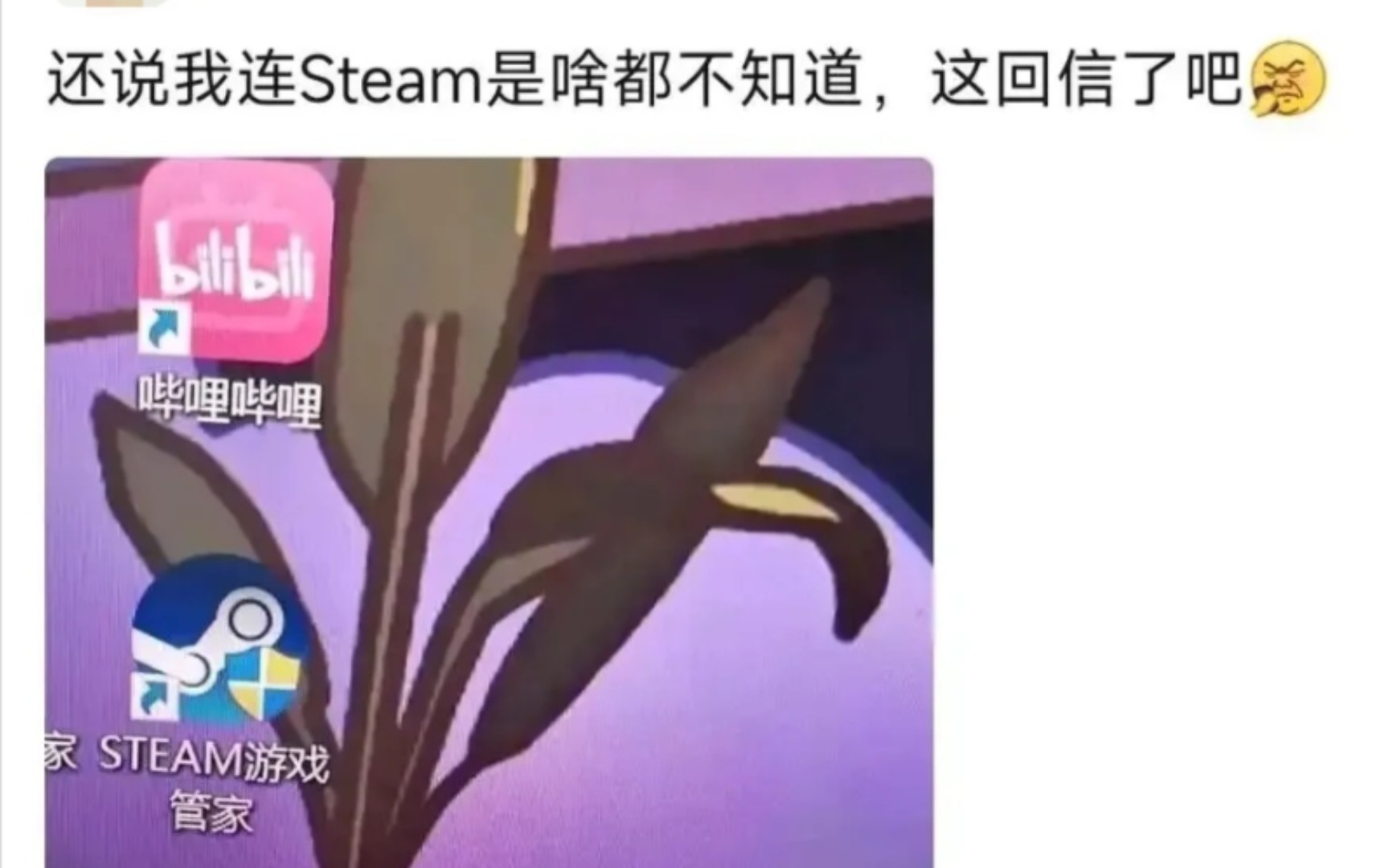 【睿智吊评】今天就算是天王老子来了,这也是正版Steam!哔哩哔哩bilibili