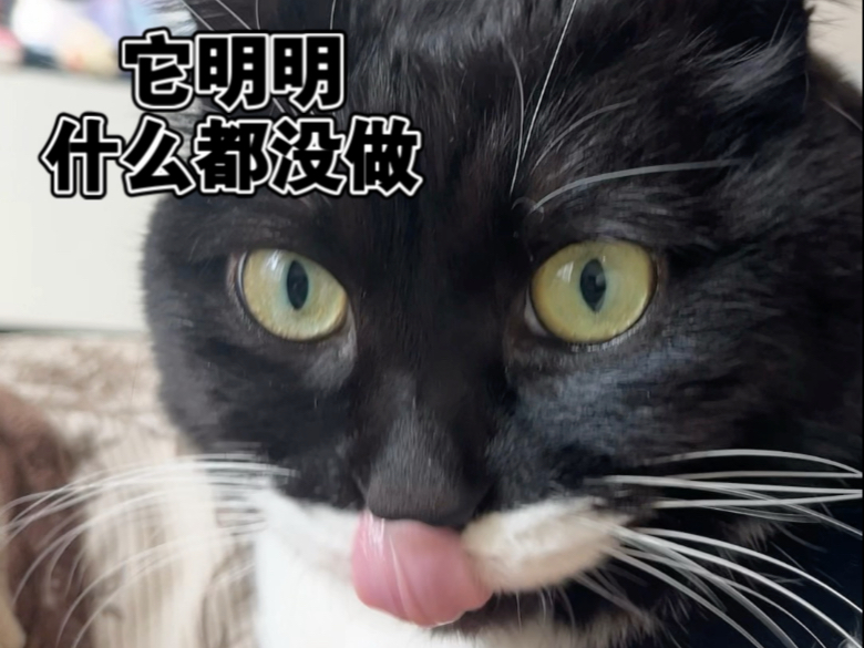 它明明什么都没做，是我先动的心！！