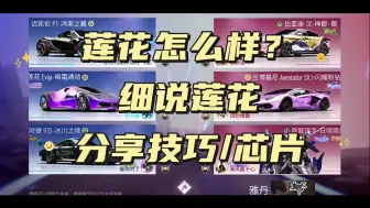 Download Video: 莲花究竟怎么样？