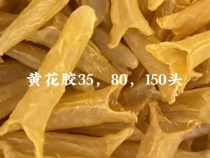 小白花,青鲈公,凤尾,阴阳条,鳕鱼胶,泰国鸡蛋胶,小竹叶胶,厚肉白鲈胶,豆仁胶,巴西鸡蛋胶,鸭包筒,黄花胶,珍珠胶单层!哔哩哔哩bilibili