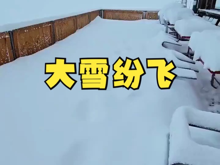 暴雪来袭!瑞士阿尔卑斯山区大雪纷飞哔哩哔哩bilibili