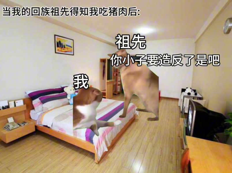 【猫meme】当我的回族祖先祖先得知我吃猪肉后哔哩哔哩bilibili