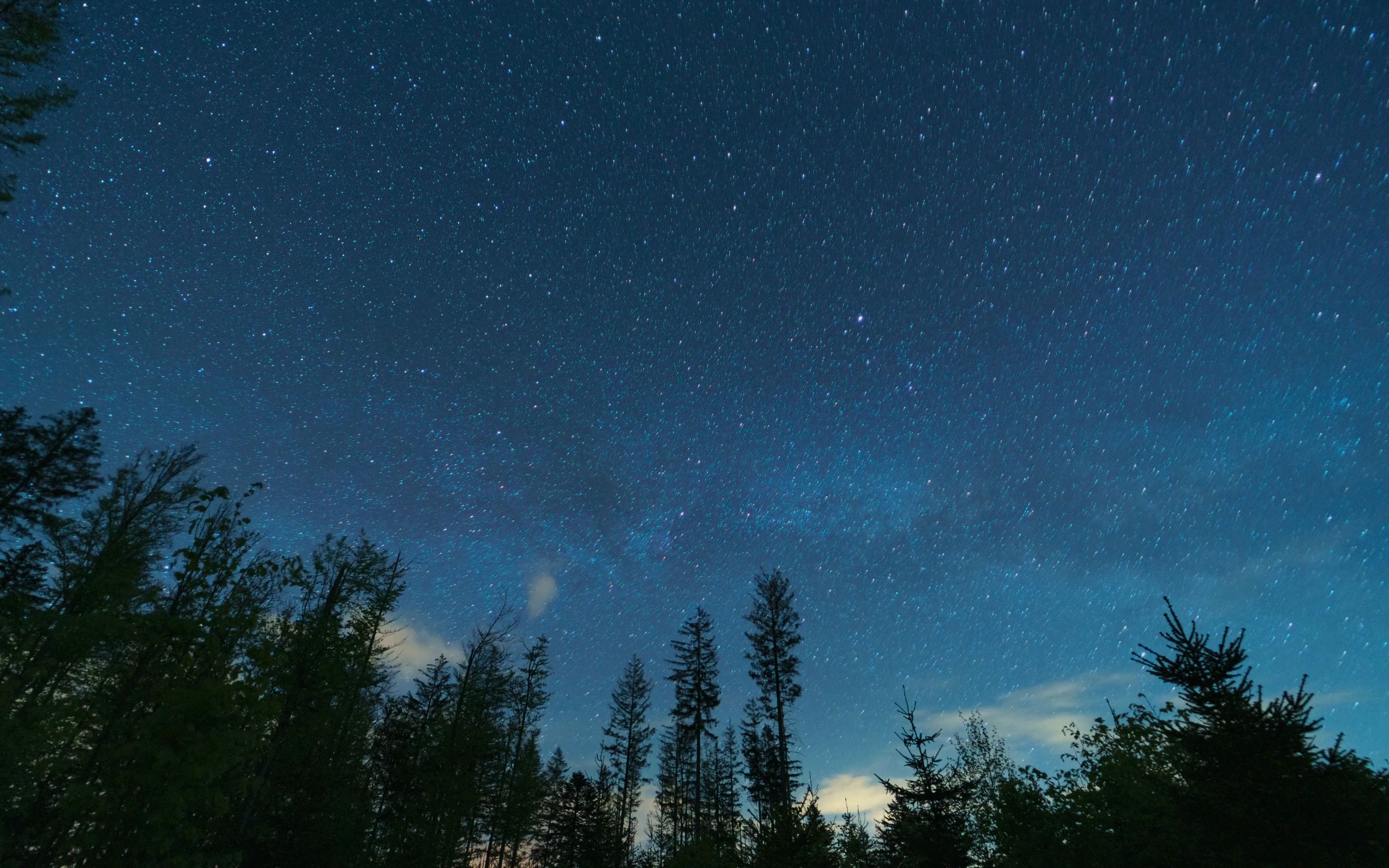 空镜头视频素材 星空银河森林树林 素材分享_哔哩哔哩_bilibili