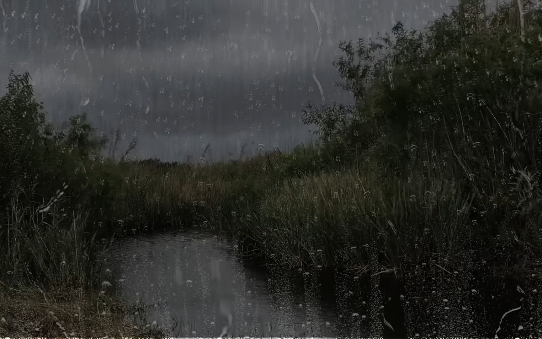 唤醒沉睡,雨洒灵魂.( 雨声助眠,哄人入睡,白噪音)