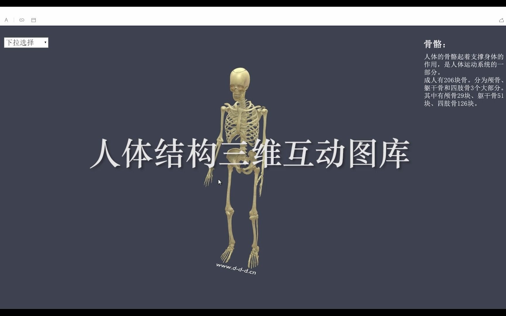 web3d做的人体结构3D图库,包含人体各大系统和主要器官,纯科普全免费.哔哩哔哩bilibili