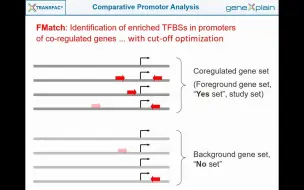 Download Video: TRANSFAC转录因子数据库预测分析工具 FMatch 的简要介绍