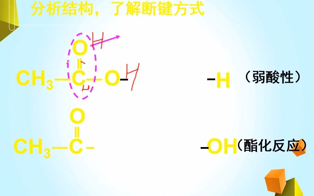 分析乙酸的结构,了解断键的方式?除水垢的原理?哔哩哔哩bilibili