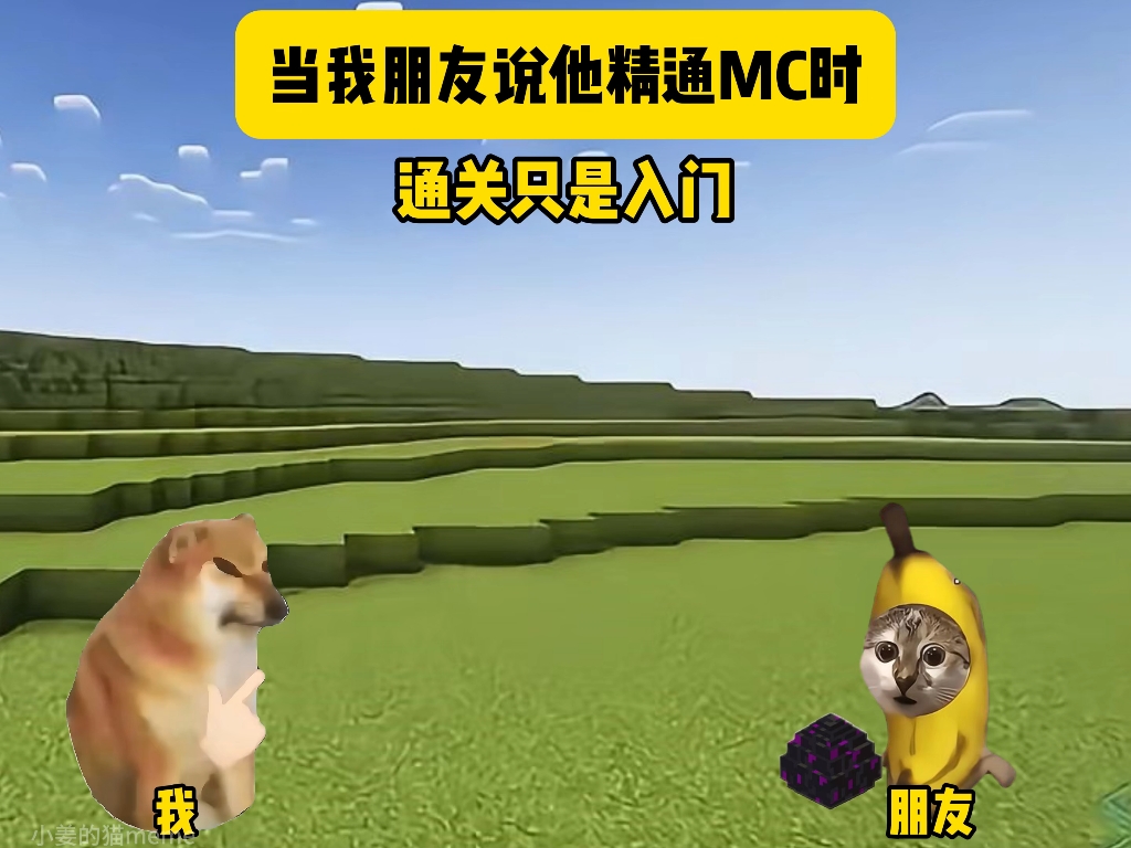 当我朋友说他精通mc时
