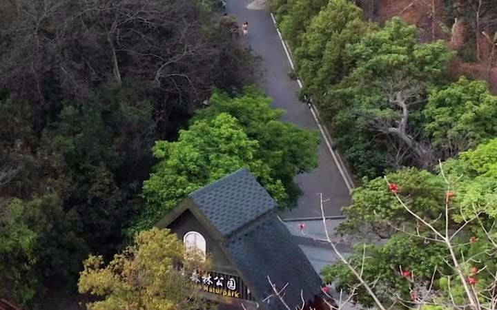 贝多芬森林公园