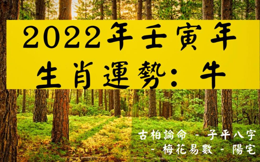 古柏論命- 2022年壬寅年生肖運勢分享 –牛_嗶哩嗶哩_bilibili