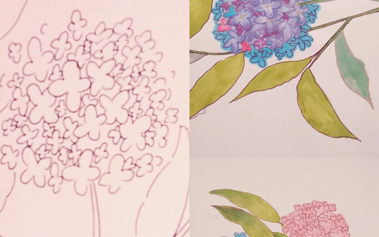 【手绘】超简单的绣球花教程