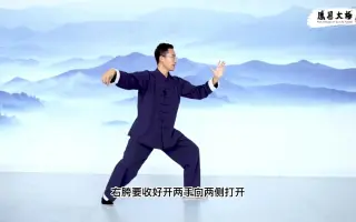 杨氏太极拳85式 哔哩哔哩 Bilibili
