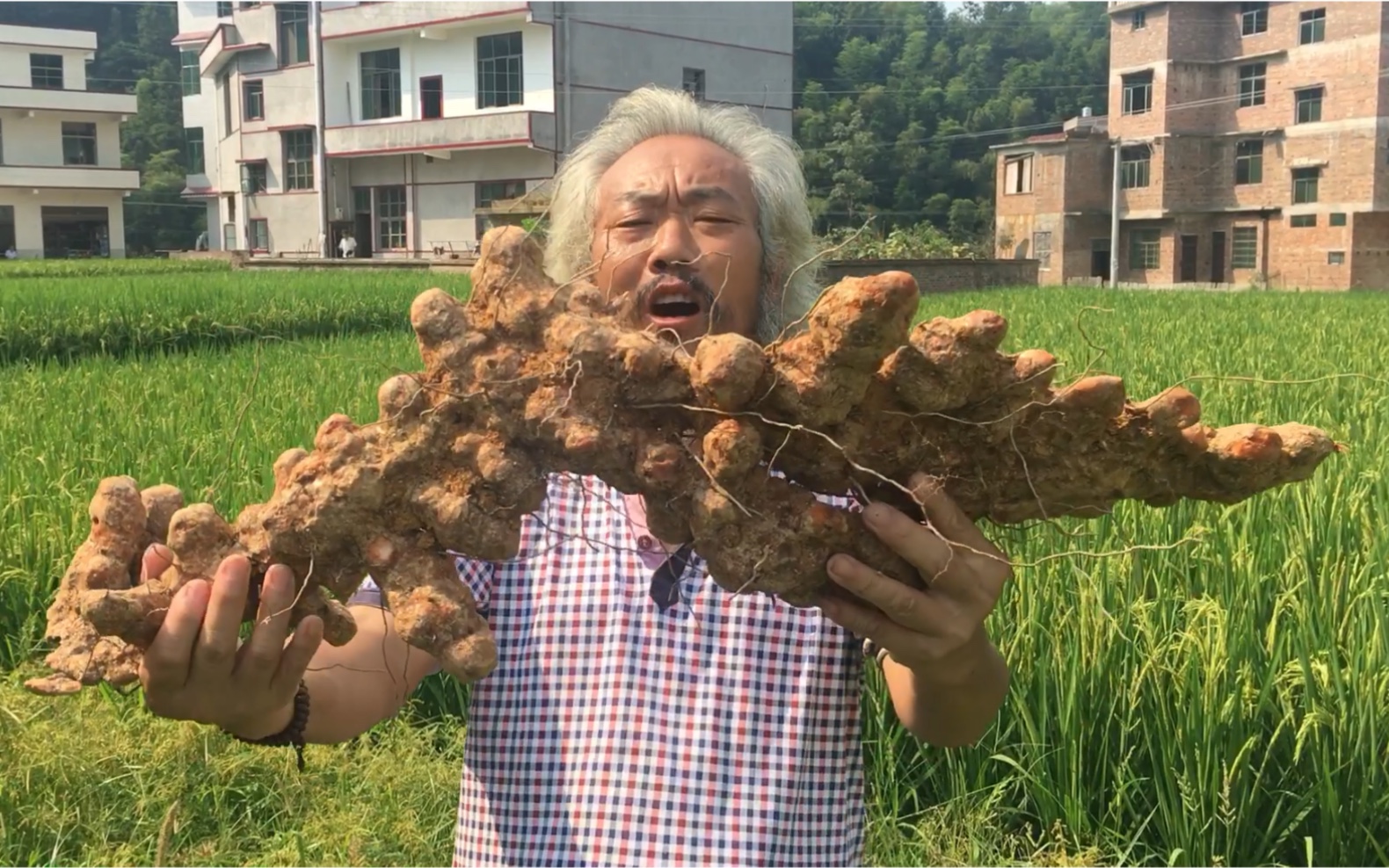 魏老挖药材卖,收购商出的价,把老爷爷高兴坏了