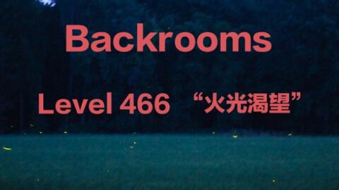 Level 466 - The Backrooms