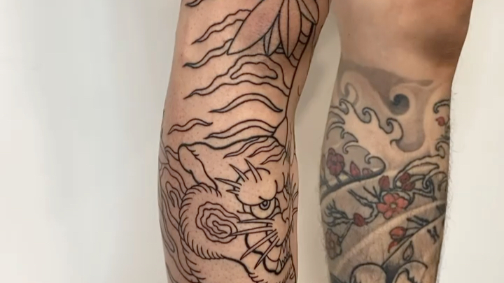 老传统花腿老虎分享