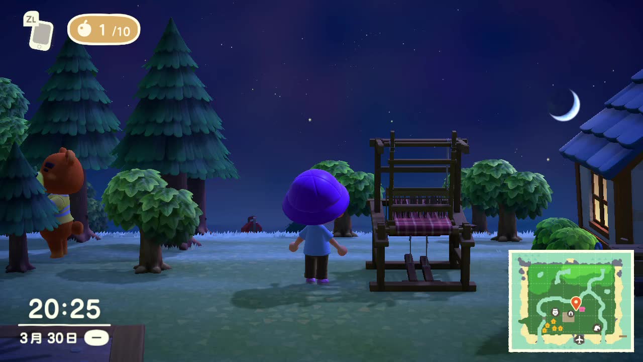 动物森友会流星