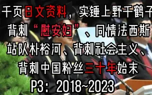 Download Video: 实锤上野千鹤子背刺“慰安妇”三十年 P3 核心：《迈向战争和性暴力的比较史》+锤人