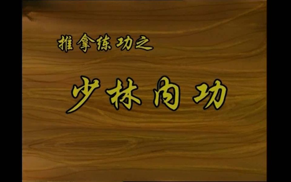 推拿功法学推拿练功之少林内功(人民卫生出版社)卫生部视听教材哔哩哔哩bilibili