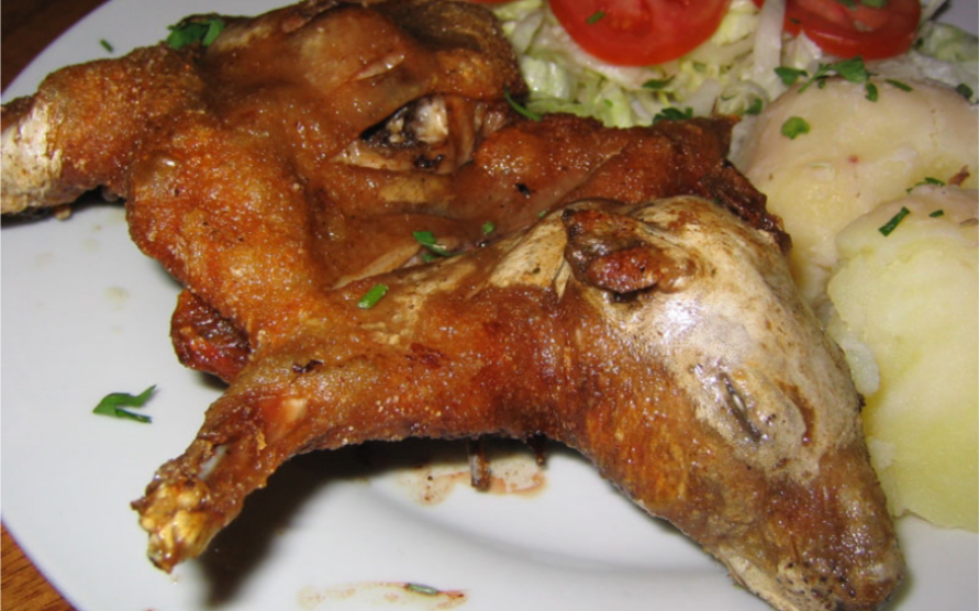 烤豚鼠——秘鲁 菲利·卡萨布兰卡摄