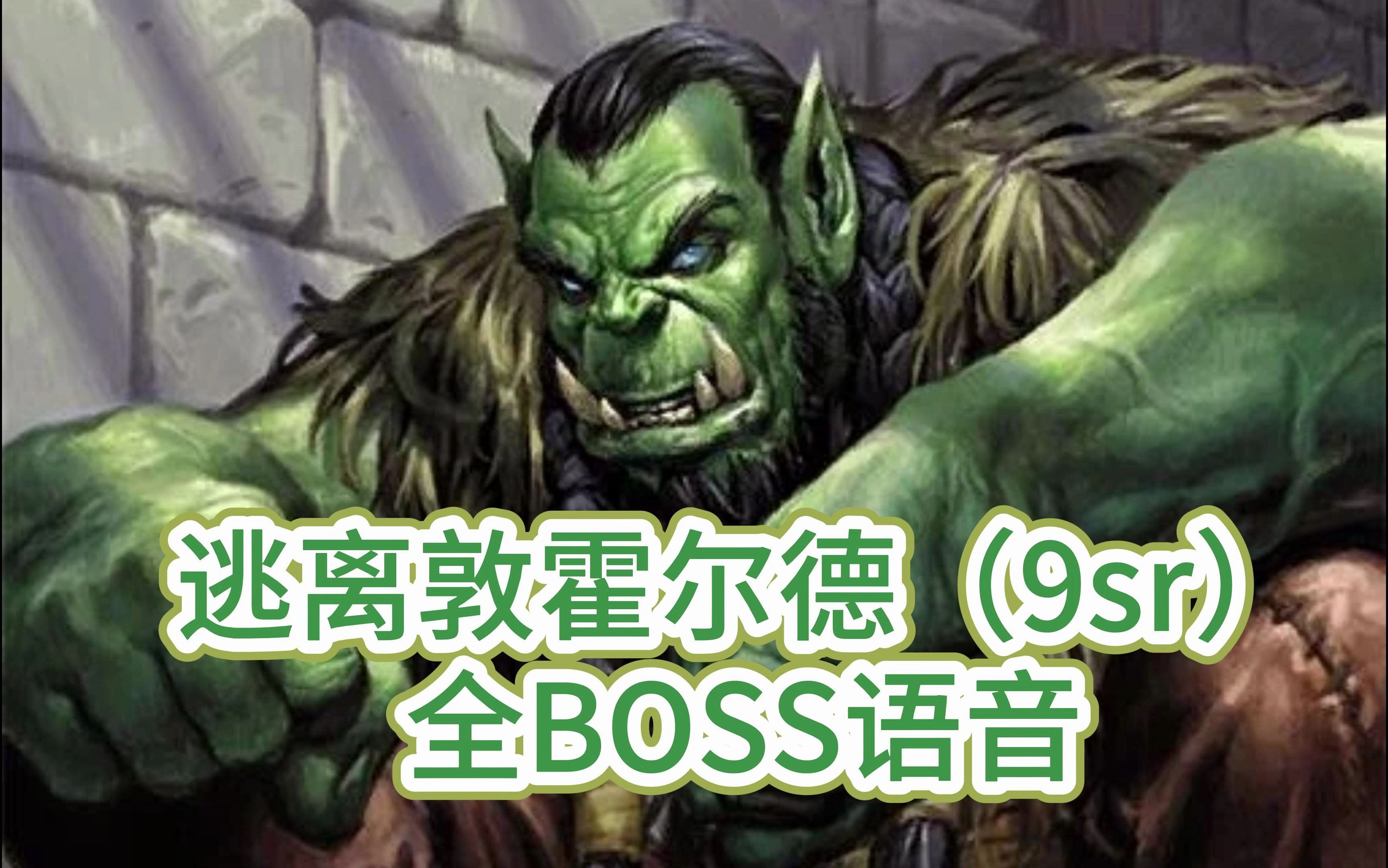 【魔兽世界】TBC逃离敦霍尔德BOSS台词/过场全语音网络游戏热门视频