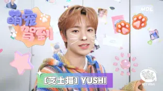 Download Video: 【NCT WISH】吴 是 温 的 猫 狗 生 活