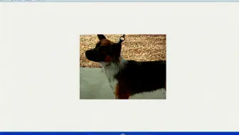 【唐宇迪】Tensorflow实战-猫狗识别任务,人工智能入门课程教程