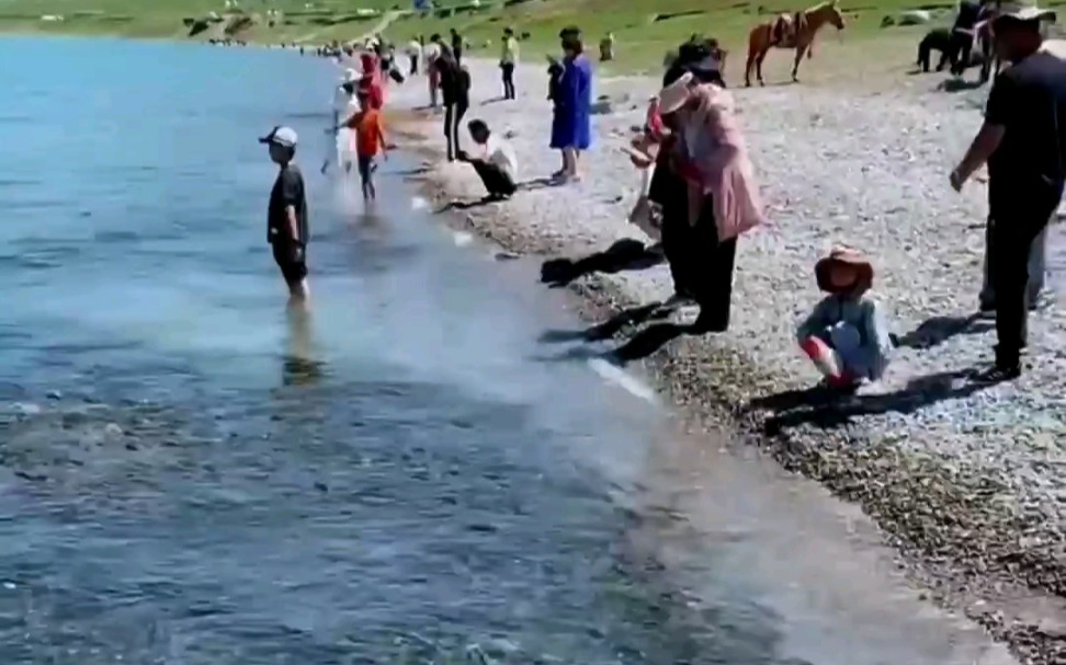 [图]青海湖湟鱼洄游，场面太震撼了